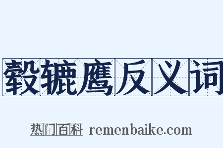 毂辘鹰反义词是什么意思的图片